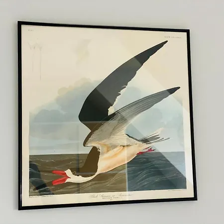 Kuddels Fischerhus דירה *