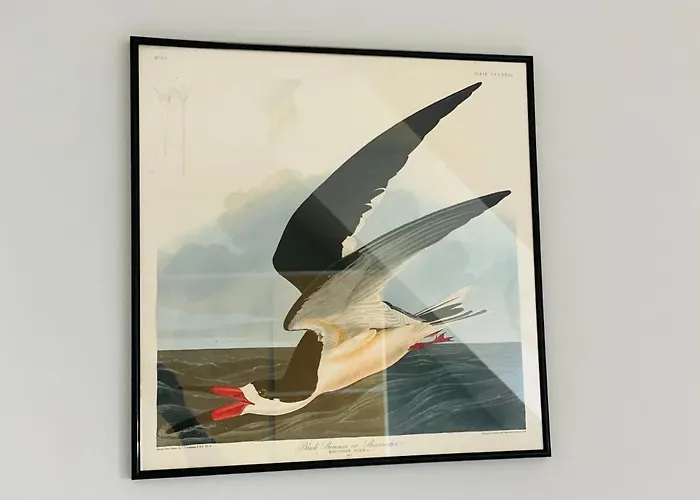 Kuddels Fischerhus Appartement *