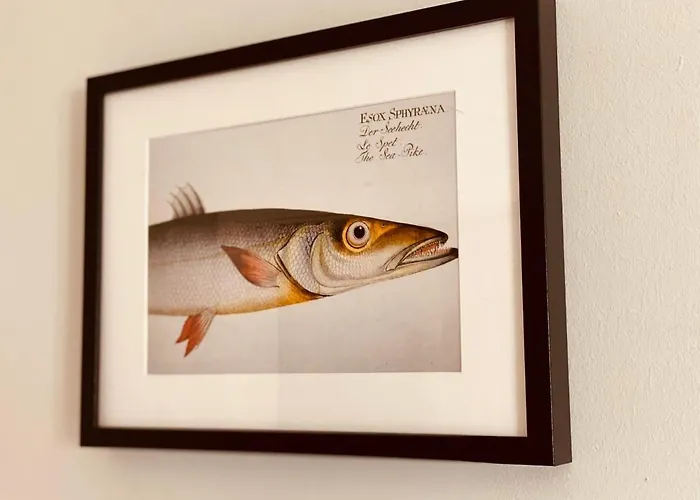 Kuddels Fischerhus Appartement *