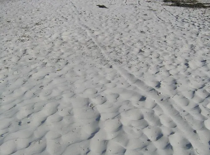 Appartement Kuddels Fischerhus