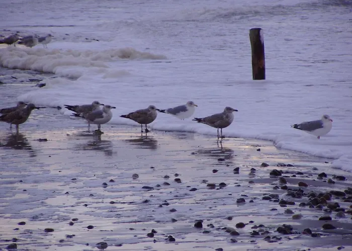 Kuddels Fischerhus * Börgerende-Rethwisch